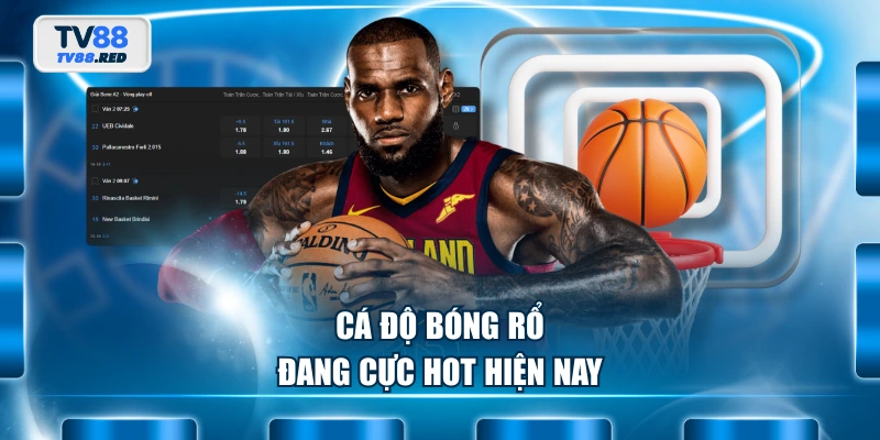 SBO Sport - Bùng Cháy Đam Mê Với Hàng Ngàn Kèo Cược 4 Cá độ bóng rổ đang cực hot hiện nay