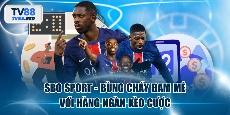SBO Sport - Bùng Cháy Đam Mê Với Hàng Ngàn Kèo Cược 1 SBO Sport - Bùng Cháy Đam Mê Với Hàng Ngàn Kèo Cược