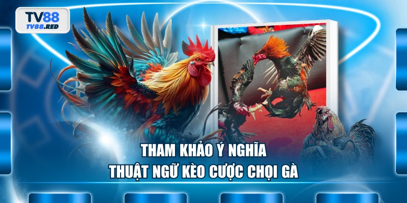 Thuật Ngữ Đá Gà - Cẩm Nang Dành Cho Người Mới Tham Gia 4 Tham khảo ý nghĩa thuật ngữ kèo cược chọi gà