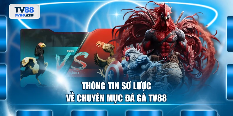 Đá Gà TV88 1 Thông tin sơ lược về chuyên mục đá gà TV88